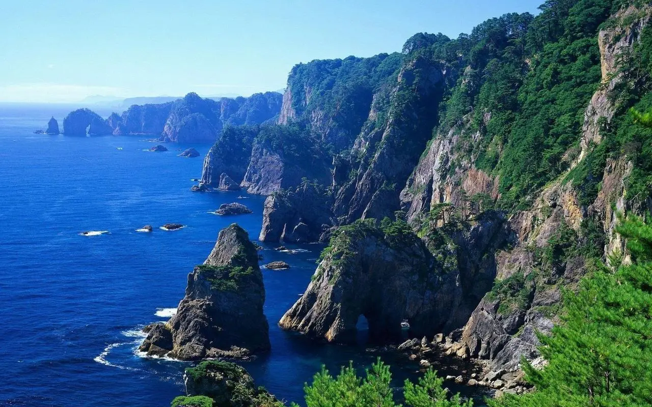 高精度电子全自动